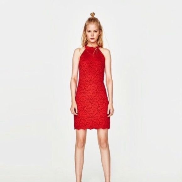 Zara Dresses & Skirts - High neck red lace dress